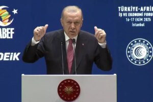 cumhurbaskani erdogan afrikalilara nazim hikmetin dizeleriyle seslendi N3hfPfSJ.jpg