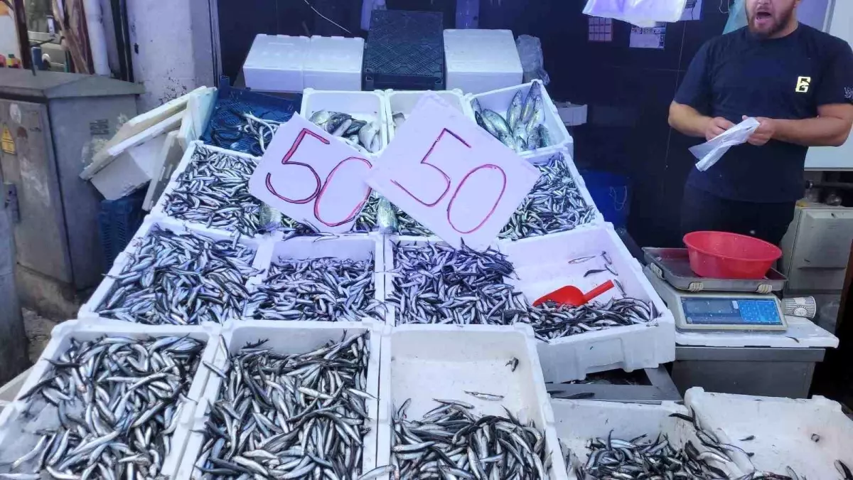 hamsi bollugu fiyatlar 50 liraya dustu Z1gIwGjU.jpg