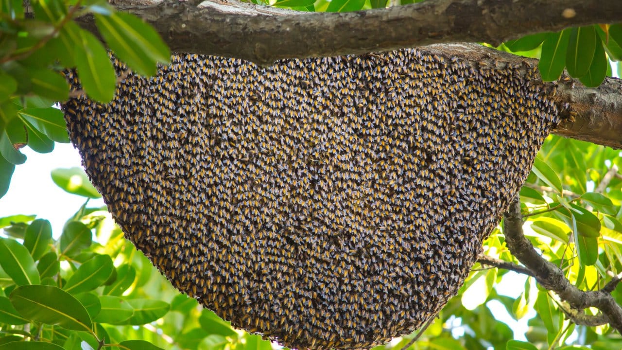 bingolde ureticilere yuzde 75 hibe verildi k51GEgtR.jpg