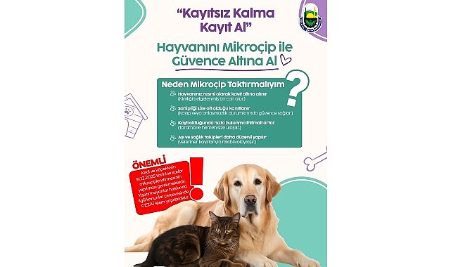 inegol belediyesinden evinde kedi kopek besleyenlere mikrocip uyarisi YwuSqvDe.jpg