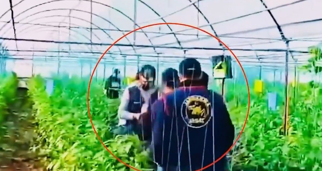 7 yıl önce cinayet işlemişti, serada yakalandı