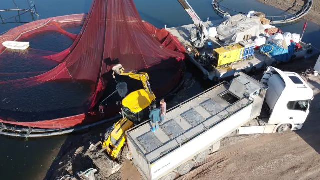 Alabalık yetiştirme fotoğrafı