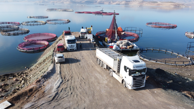 Balık sevkiyatı fotoğrafı