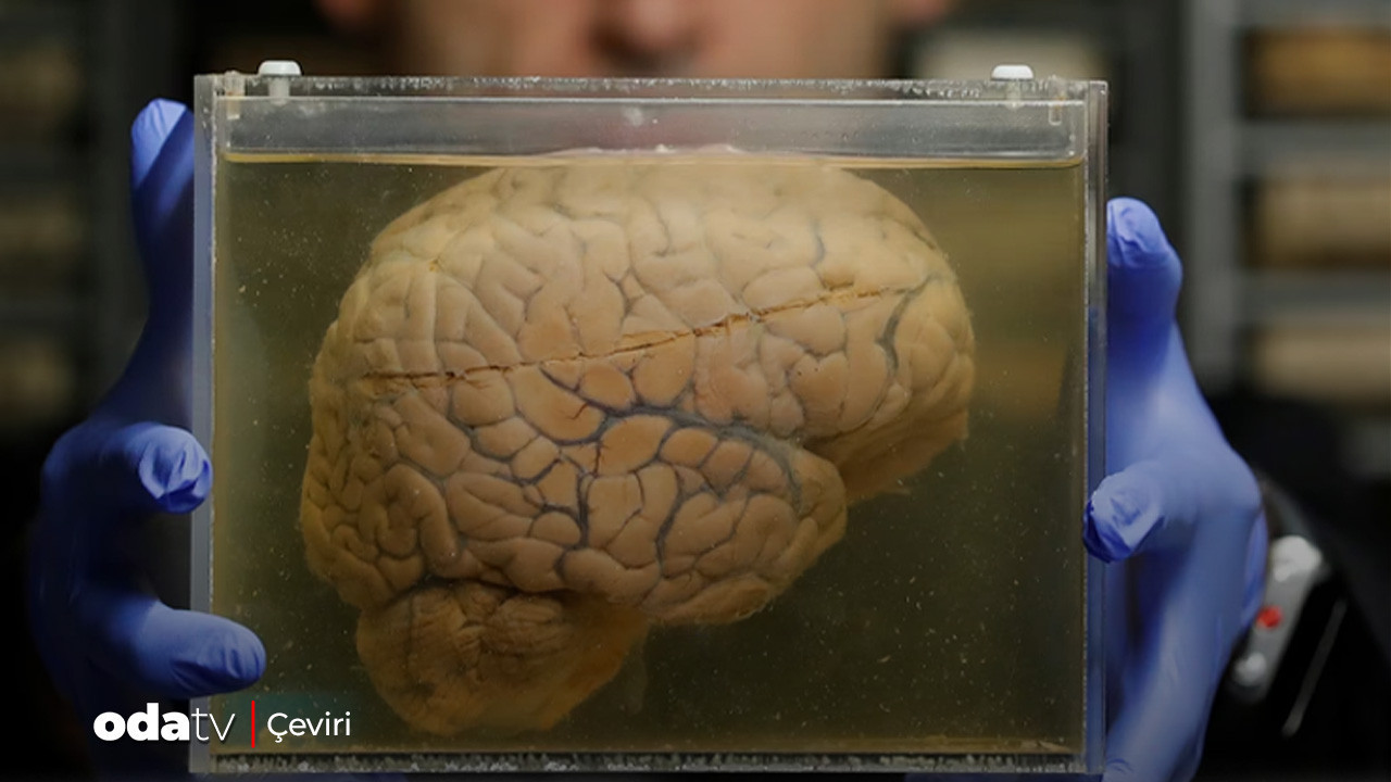 Hepsi bir binada… Binlerce beyni depoladılar… Bakın sebebi ne