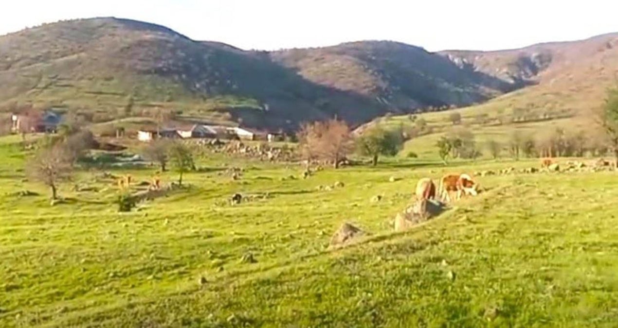 Köylünün kararlılığı madeni durdurdu