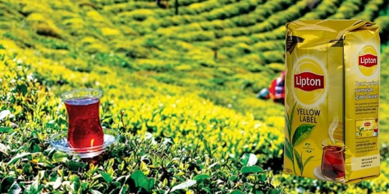 Lipton Türkiye’deki faaliyetlerine son verdi