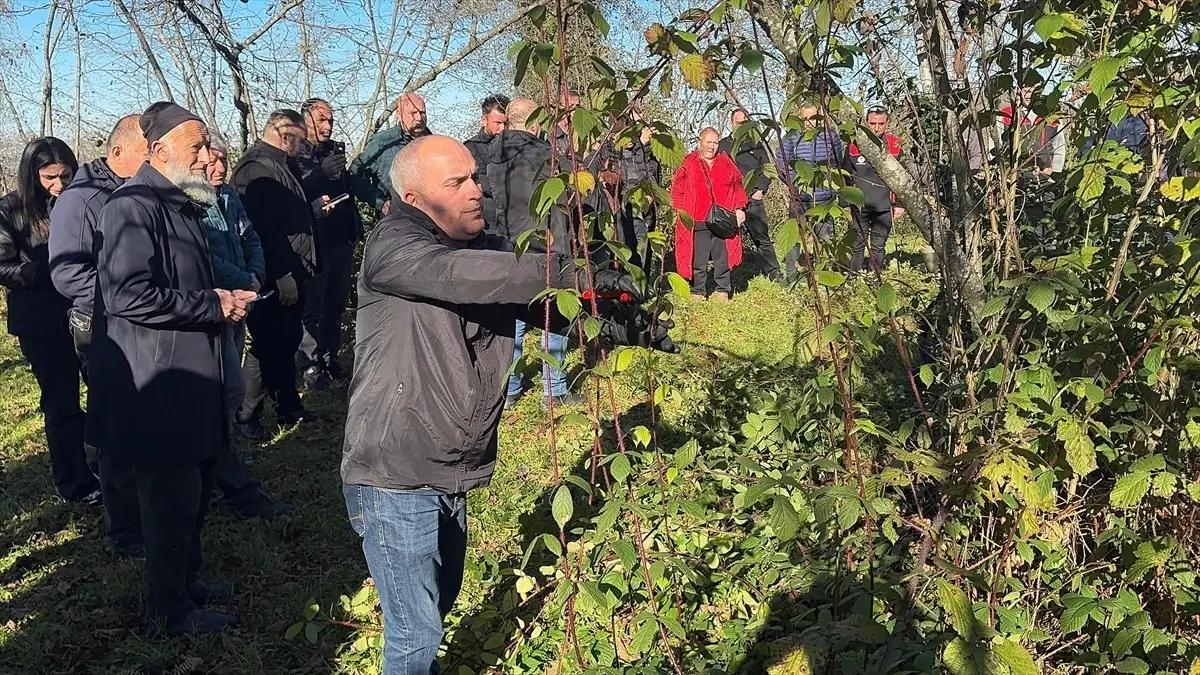 Giresun’da Fındık Eğitimi Devam Ediyor