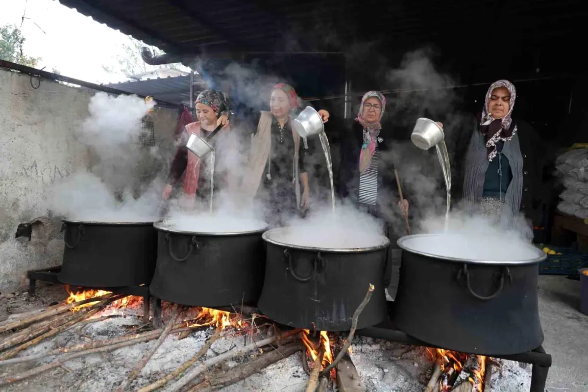 Kozanlı Kadınlar Turunç ile Ekonomi Yaratıyor